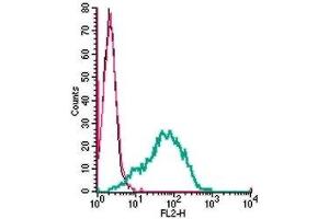 Flow Cytometry (FACS) image for anti-Pyrimidinergic Receptor P2Y, G-Protein Coupled, 6 (P2RY6) (AA 172-186), (Extracellular) antibody (PE) (ABIN7043593)