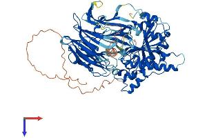 PREPL Protein (AA 1-725) (His tag)