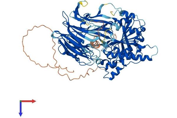 PREPL Protein (AA 1-725) (His tag)