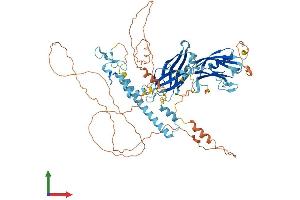 Protein Structure (PS) image for Synaptotagmin-Like 5 (SYTL5) (AA 1-730) protein (His tag) (ABIN7544074)