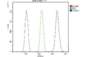Flow Cytometry analysis of A431 cells using anti-TRIM24 antibody (ABIN7602359). (TRIM24 Antikörper  (AA 706-964))