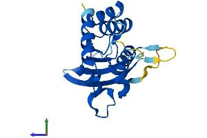Protein Structure (PS) image for Apolipoprotein B mRNA Editing Enzyme, Catalytic Polypeptide-Like 3C (APOBEC3C) (AA 1-190) protein (His tag) (ABIN7551841)