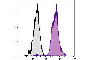 C57BL/6 mouse splenocytes were stained with Mouse Anti-Mouse CD45. (CD45.2 Antikörper  (APC))