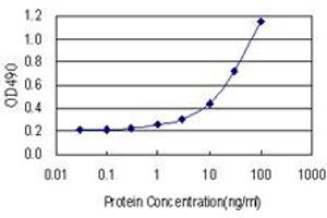 Sandwich ELISA detection sensitivity ranging from 1 ng/mL to 100 ng/mL.