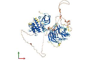 AlphaFold protein structure predicition of Mouse Recombinant Map4k3 Protein, UniprotID Q99JP0