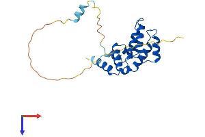 RGS1 Protein (AA 1-209) (His tag)