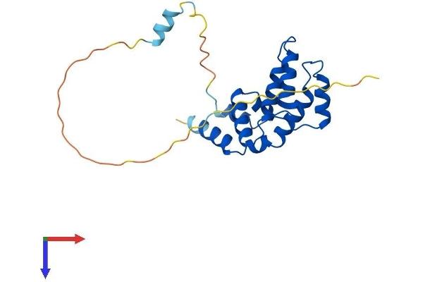 RGS1 Protein (AA 1-209) (His tag)
