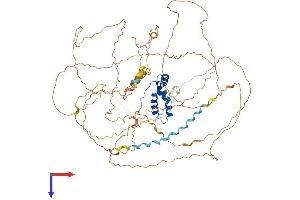 SOX30 Protein (AA 1-782) (His tag)