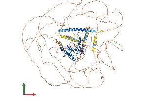 Protein Structure (PS) image for Protein AF-10 (MLLT10) (AA 1-1068) protein (His tag) (ABIN7552036)