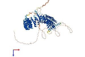 PPP4R4 Protein (AA 1-873) (His tag)