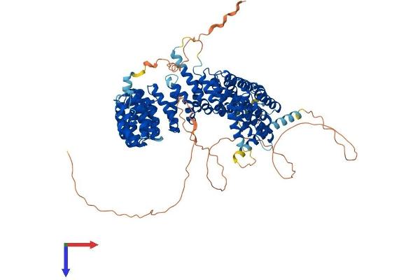 PPP4R4 Protein (AA 1-873) (His tag)