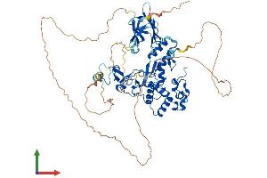 Protein Structure (PS) image for Checkpoint with Forkhead and Ring Finger Domains (CHFR) (AA 1-664) protein (His tag) (ABIN7564311)