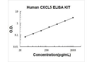 Chemokine (C-X-C Motif) Ligand 5 (CXCL5) ELISA Kit