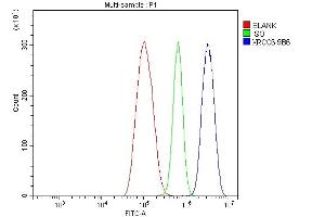 Flow Cytometry analysis of THP-1 cells using anti-Ku70 antibody (ABIN7602791).