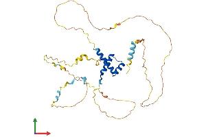 Protein Structure (PS) image for Homeobox B2 (HOXB2) (AA 1-356) protein (His tag) (ABIN7548377)