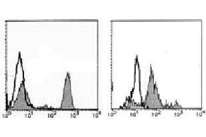 Flow Cytometry (FACS) image for anti-CD4 (CD4) antibody (ABIN1106337) (CD4 Antikörper)