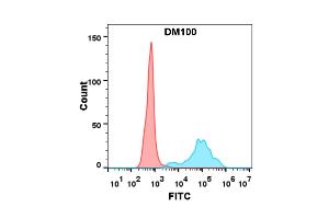 Flow cytometry analysis with Anti-CD40 (DM100) on Expi293 cells transfected with human CD40 (Blue histogram) or Expi293 transfected with irrelevant protein (Red histogram). (CD40 Antikörper  (AA 21-193))