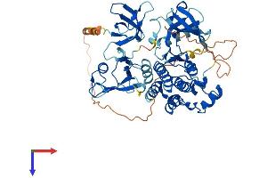 TXK Protein (AA 1-527) (His tag)
