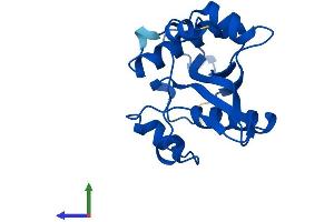 Protein Structure (PS) image for Spermidine/spermine N1-Acetyltransferase 1 (SAT1) (AA 1-171) protein (His tag) (ABIN7563304)