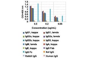 ELISA analysis of Mouse IgG Fc monoclonal antibody, clone RMG06  at the following concentrations: 0. (Ziege anti-Maus IgG Antikörper)