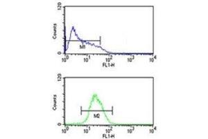ATF7 antibody flow cytometric analysis of HL-60 cells (bottom histogram) compared to a negative control (top histogram). (ATF7 Antikörper  (AA 68-96))