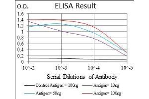 Black line: Control Antigen (100 ng), Purple line: Antigen(10 ng), Blue line: Antigen (50 ng), Red line: Antigen (100 ng), (NPC1 Antikörper  (AA 34-174))