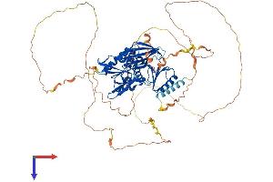 SYN1 Protein (AA 1-705) (His tag)