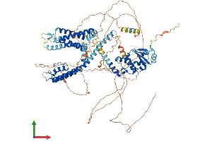 Protein Structure (PS) image for Potassium Voltage-Gated Channel, Shab-Related Subfamily, Member 1 (KCNB1) (AA 1-857) protein (His tag) (ABIN7563592)