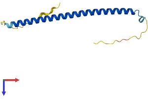 BATF3 Protein (AA 1-118) (His tag)