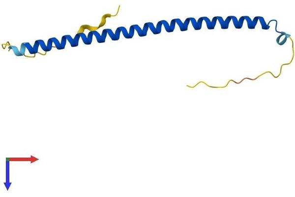BATF3 Protein (AA 1-118) (His tag)
