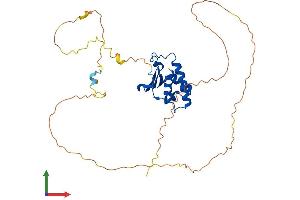Protein Structure (PS) image for Transducer of ERBB2, 2 (TOB2) (AA 1-344) protein (His tag) (ABIN7544700)