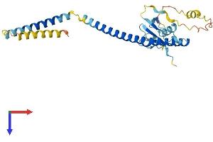UBXN8 Protein (AA 1-270) (His tag)