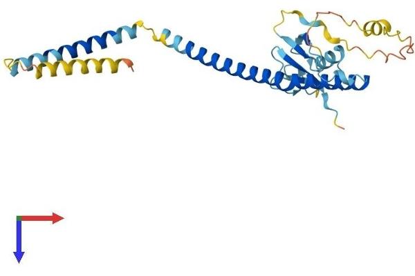 UBXN8 Protein (AA 1-270) (His tag)