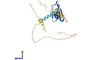 Protein Structure (PS) image for ELL Associated Factor 2 (EAF2) (AA 1-260) protein (His tag) (ABIN7547220)