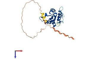 TIRAP Protein (AA 1-221) (His tag)