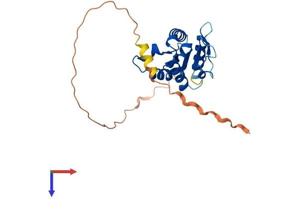 TIRAP Protein (AA 1-221) (His tag)