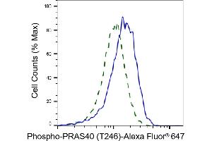 Validation of PRAS40 knockdown using flow cytometry. (Rekombinanter PRAS40 Antikörper  (pThr246))