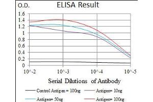 Black line: Control Antigen (100 ng), Purple line: Antigen(10 ng), Blue line: Antigen (50 ng), Red line: Antigen (100 ng), (RPL18A Antikörper  (AA 50-176))