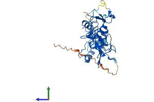 Protein Structure (PS) image for PHD Finger Protein 7 (PHF7) (AA 1-307) protein (His tag) (ABIN7561219)