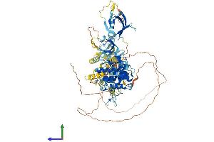 Protein Structure (PS) image for Protein Kinase D1 (PRKD1) (AA 1-912) protein (His tag) (ABIN7554376)
