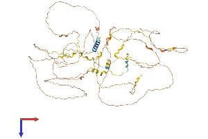 ZNF750 Protein (AA 1-723) (His tag)