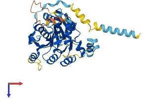 B3GALT4 Protein (AA 1-378) (His tag)