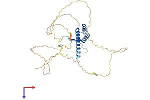 HOXD10 Protein (AA 1-340) (His tag)
