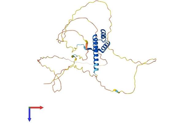 HOXD10 Protein (AA 1-340) (His tag)