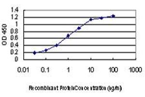 Detection limit for recombinant GST tagged LIMK1 is approximately 0. (LIM Domain Kinase 1 Antikörper  (AA 548-647))