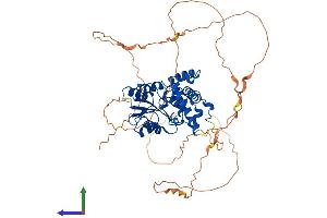 Protein Structure (PS) image for Eyes Absent Homolog 2 (Drosophila) (EYA2) (AA 1-538) protein (His tag) (ABIN7553878)