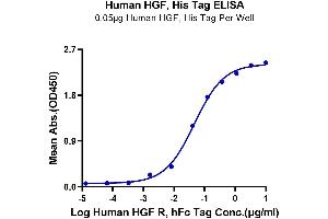ELISA image for Hepatocyte Growth Factor (Hepapoietin A, Scatter Factor) (HGF) (AA 32-728) protein (His tag) (ABIN7274808)
