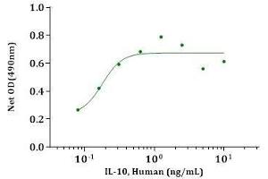 IL-10, Human stimulates cell proliferation of the MC/9 cells. (IL-10 Protein (AA 19-178))