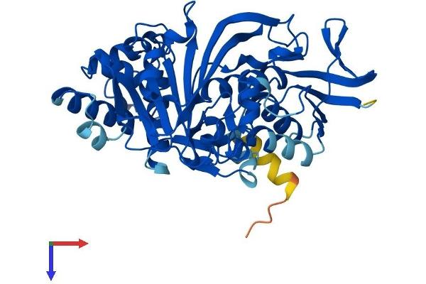 GDI1 Protein (AA 1-447) (His tag)