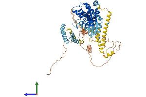 Protein Structure (PS) image for NIMA (Never In Mitosis Gene A)-Related Kinase 11 (NEK11) (AA 1-628) protein (His tag) (ABIN7559085)